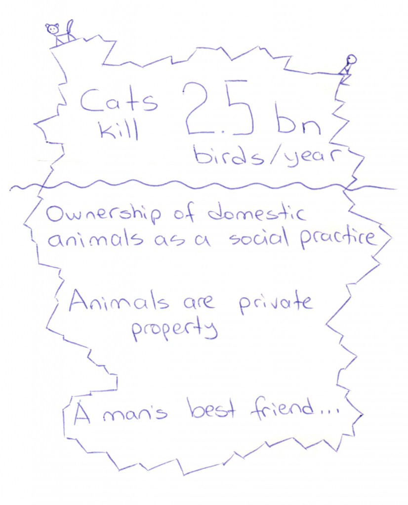 021113 Cats and Birds